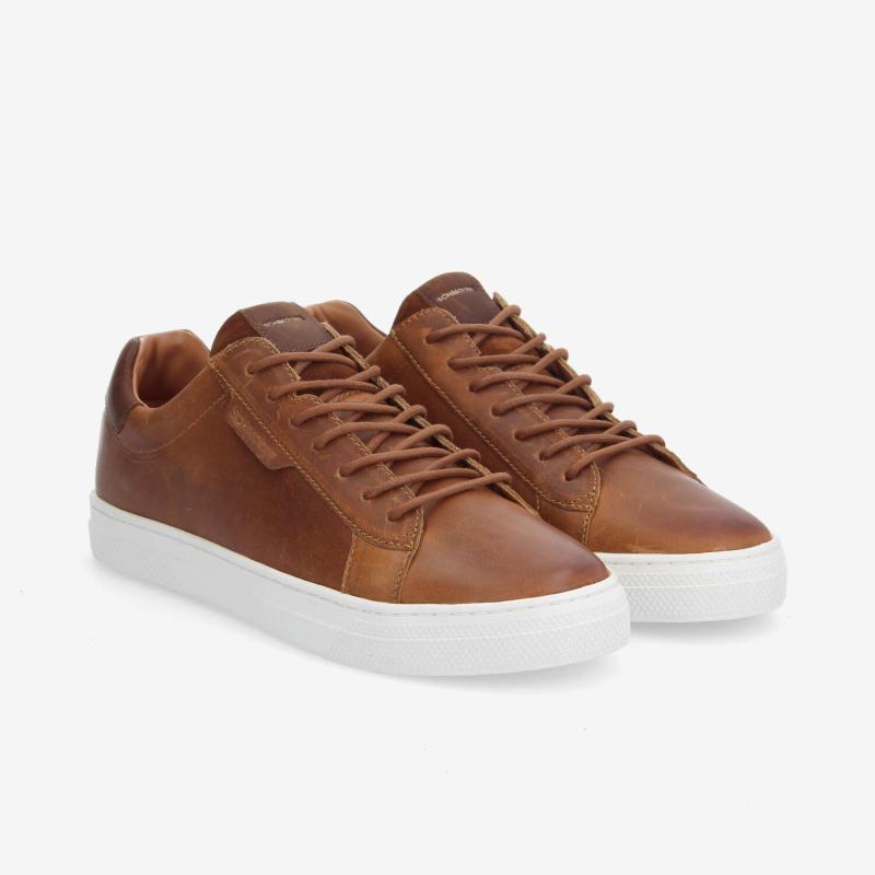 SPARKLE SNEAKER M - CICLON - CAMEL